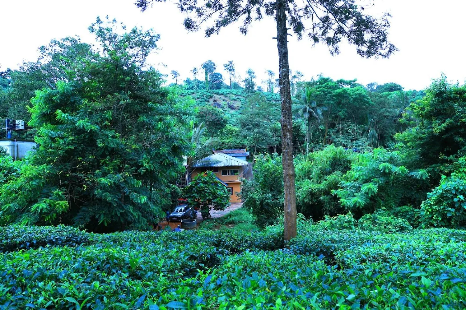 Hotel Green View Suits Vythiri