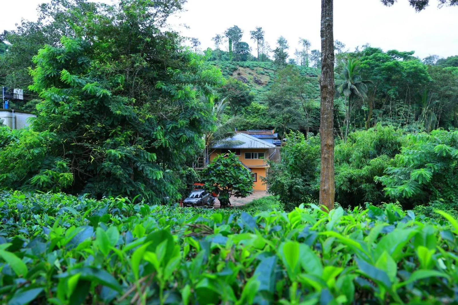 Green View Suits Vythiri 0*,  India